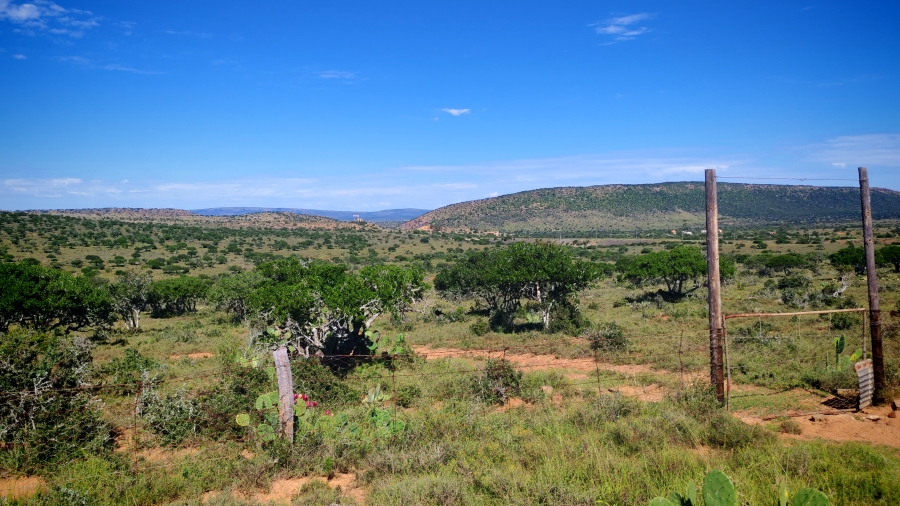 0 Bedroom Property for Sale in Somerset East Rural Eastern Cape